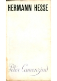 Peter Camenzind