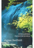 Niebiańska przepowiednia