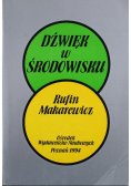 Dźwięk w środowisku