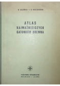 Atlas najważniejszych gatunków drewna