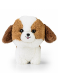 Maskotka TEDDY PETS SHIH TZU