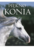 Piękno konia