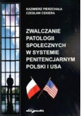 Zwalczanie patologii społecznych w systemie penitencjarnym Polski i USA