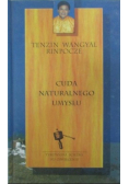 Cuda naturalnego umysłu