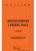 Bezpieczeństwo i Higiena Pracy Meritum