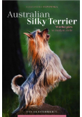 Australian silky terrier Wielki pies w małym ciel