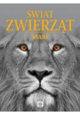 Ssaki świat zwierząt