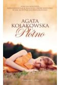Płótno
