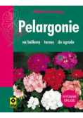 Pelargonie