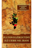 Pluton egzekucyjny już ciebie nie zrani