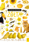 Młodzi przyrodnicy Kolorowa przyroda Żółta