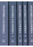 Bochenek Adam - Anatomia człowieka Tomy 1-5