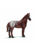 Klacz rasy Appaloosa