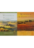Winnica w Toskanii / Wzgórza Toskanii