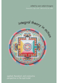 Integral Theory in Action