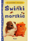 Jak się opiekować i zaprzyjaźnić Świnki morskie