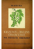 Krzewy i byliny owocowe na działce szkolnej