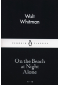 On the Beach at Night Alone