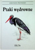 Leksykon przyrody Ptaki wędrowne