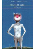 Labirynt