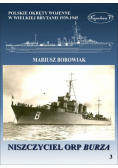 Niszczyciel ORP Burza