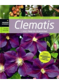 Clematis i inne pnącza ogrodowe