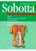 Atlas anatomii człowieka Tom 2