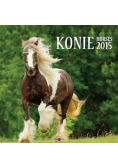 Kalendarz 2015 Konie