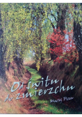 Od świtu do zmierzchu