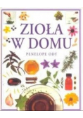Zioła w domu