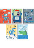 Zeszyt A5/32K linia Boy's card (10szt) TOP2000