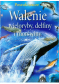 Walenie wieloryby, delfiny i morświny