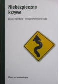 Niebezpieczne krzywe
