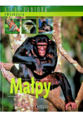 Atlas juniora Małpy