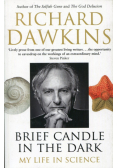Brief Candle in the Dark