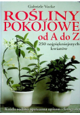 Rośliny pokojowe od A do Z