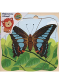 Puzzle drewniane Motyl