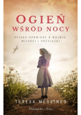 Ogień wśród nocy