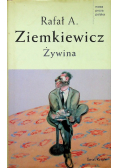 Żywina
