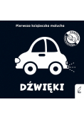 Pierwsza książeczka malucha. Dźwięki