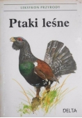 Ptaki leśne