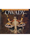 Owady