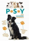 Psy
