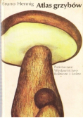 Atlas grzybów