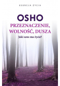 Przeznaczenie wolność dusza