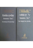 Kodeks cywilny. Komentarz, Tom I