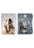 Teczka z gumką A4 The Sweet Pets