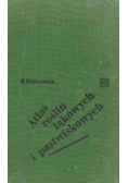 Atlas roślin łąkowych i pastwiskowych