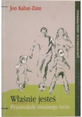 Właśnie jesteś