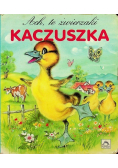 Ach te zwierzaki Kaczuszka